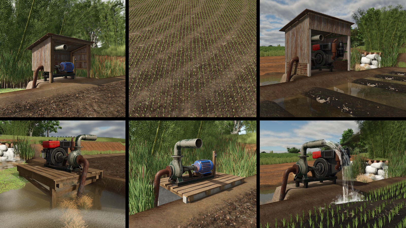 Southern Brazilian Rice Fields