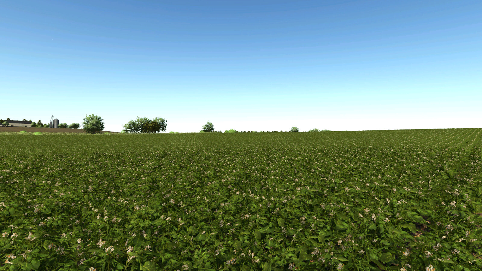 Idaho Tater Land