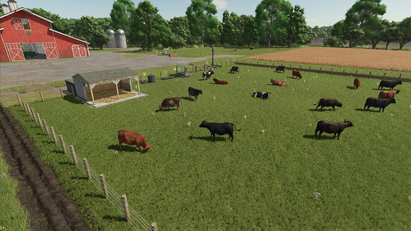 High Capacity Cow Pasture