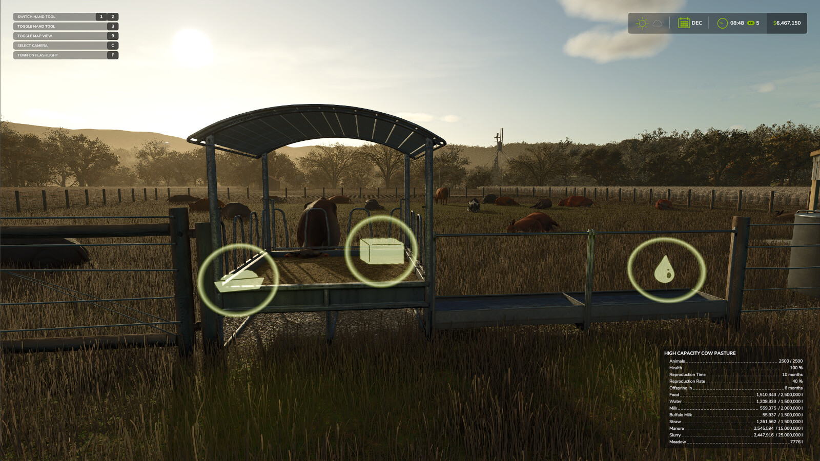 High Capacity Cow Pasture