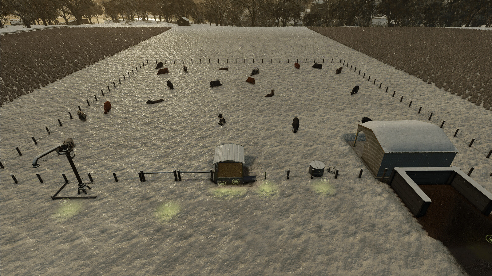 High Capacity Cow Pasture