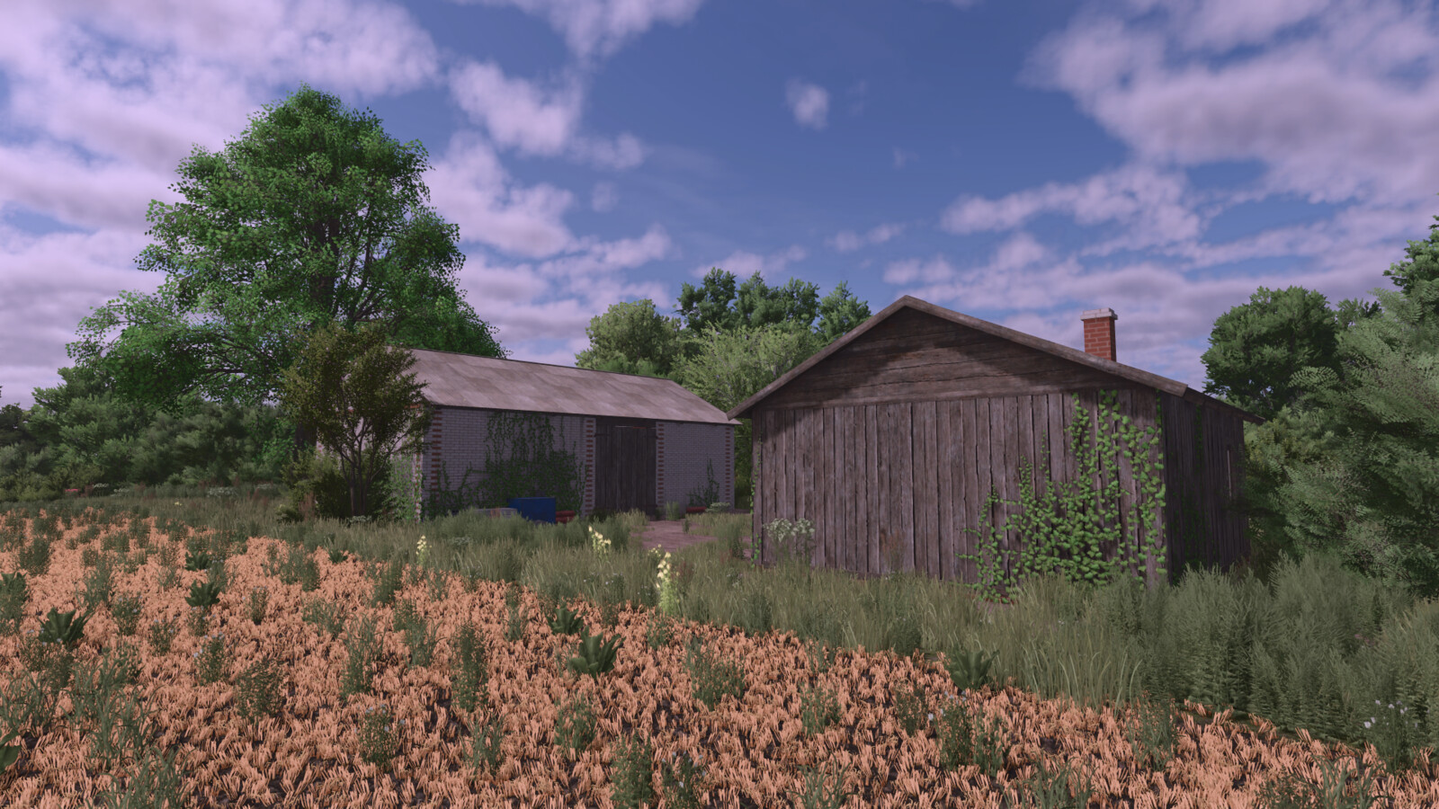 Small Polish Farm Package