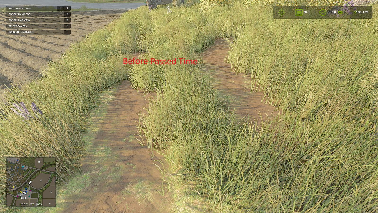 Meadow Trails