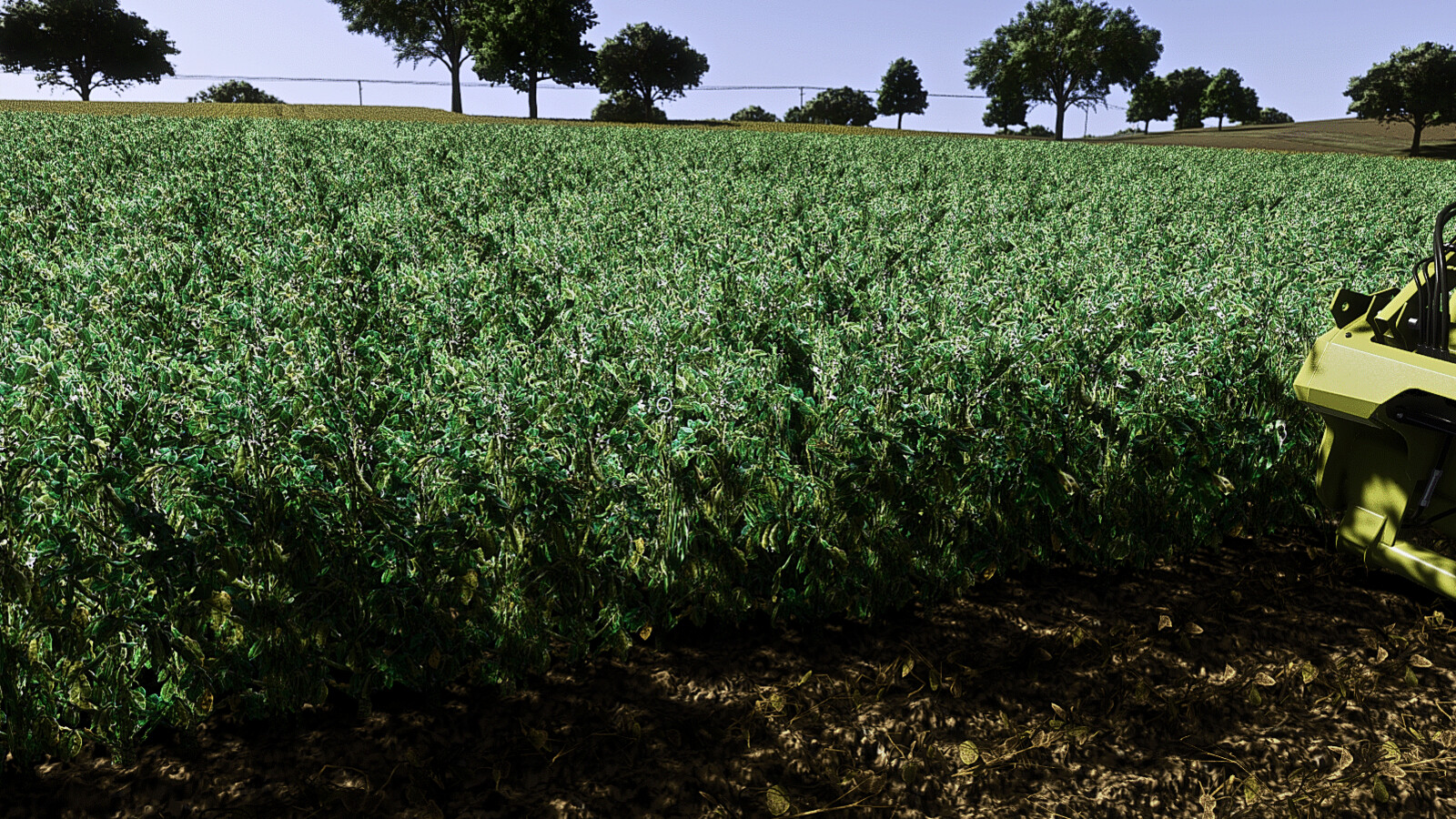 Faba Beans (Prefab*)