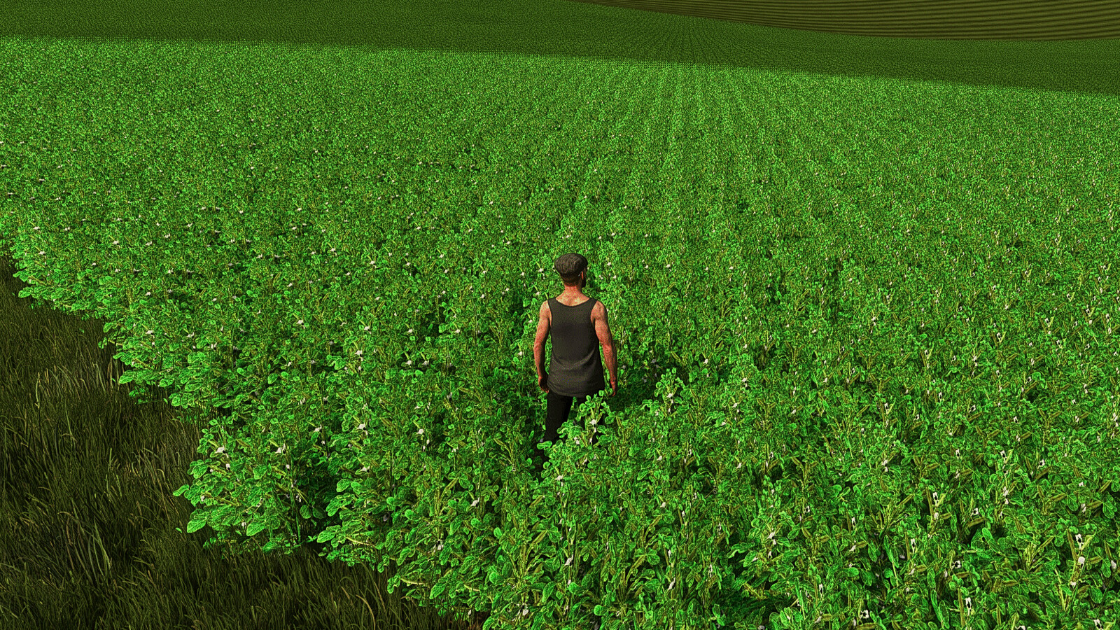 Faba Beans (Prefab*)