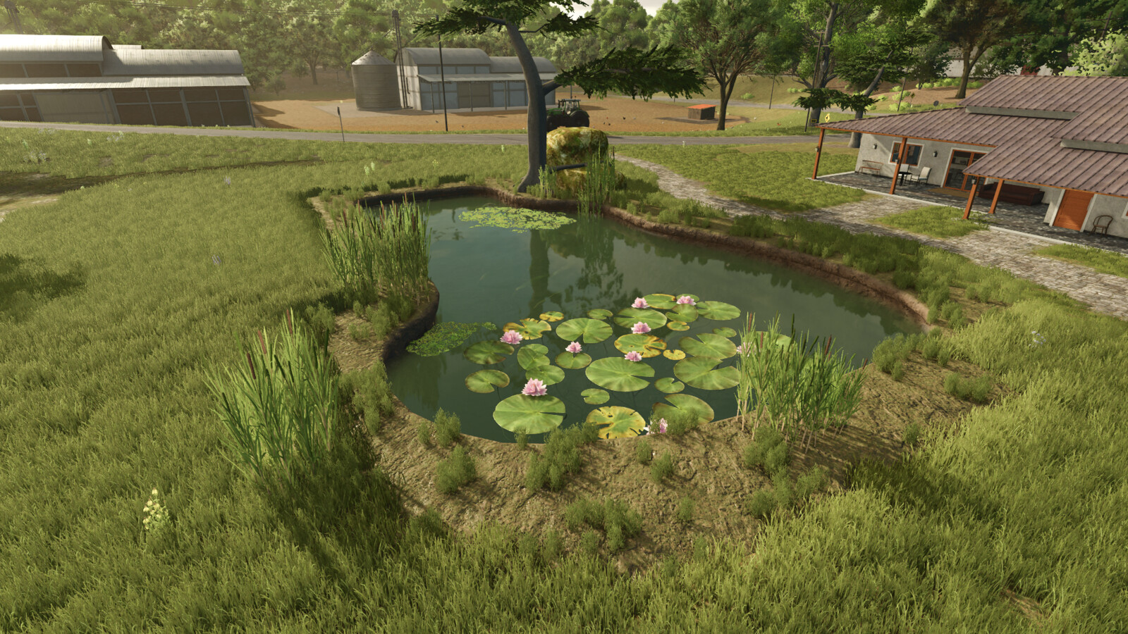 Ornamental Pond