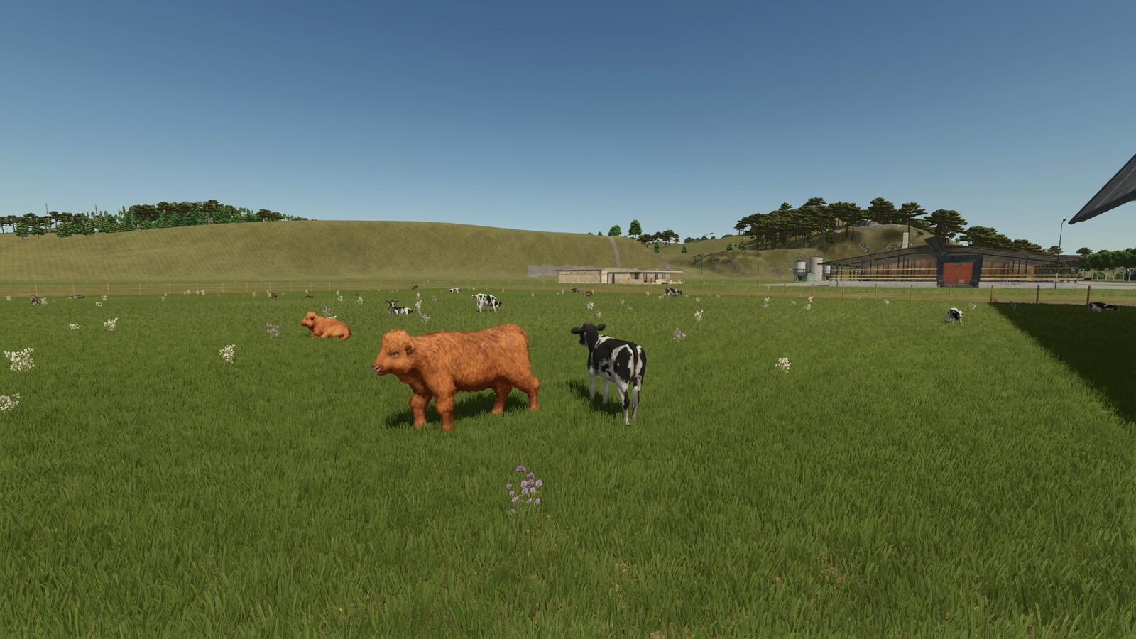 Storefront Stable Options For Husbandry