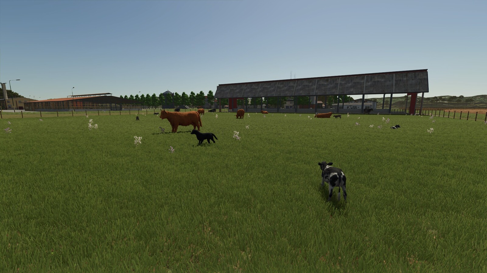 Storefront Stable Options For Husbandry