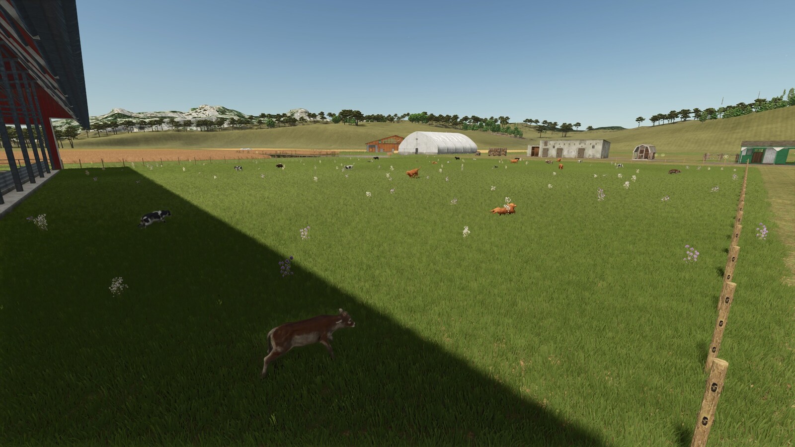 Storefront Stable Options For Husbandry