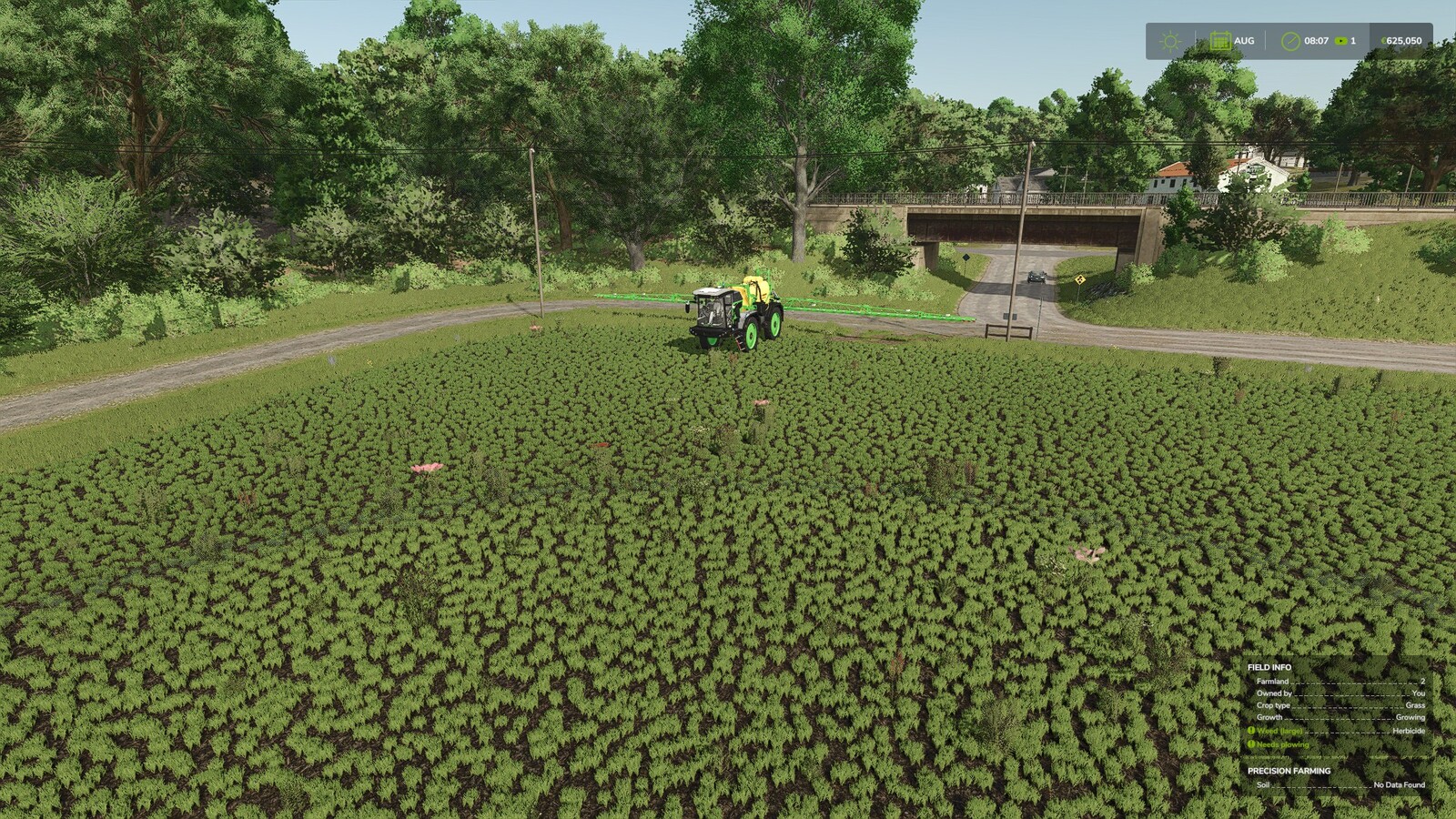 Herbicide Weed Cleanup