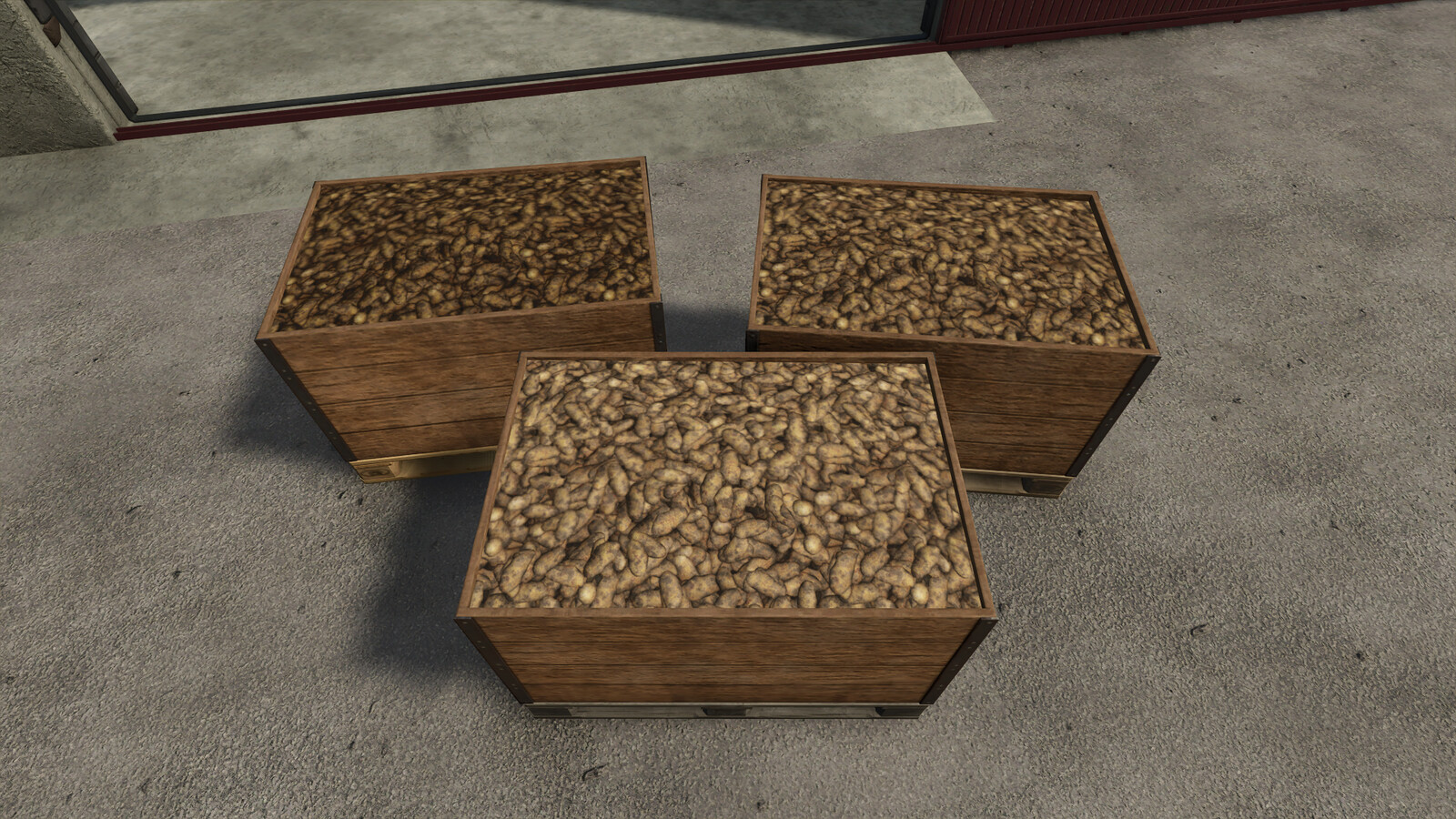 Potato Sorting Factory