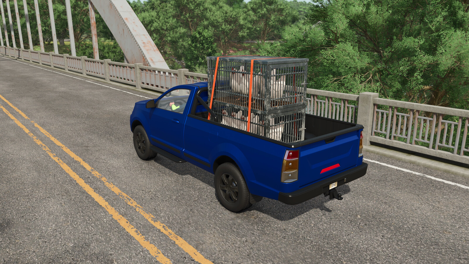Chicken Transport Cage