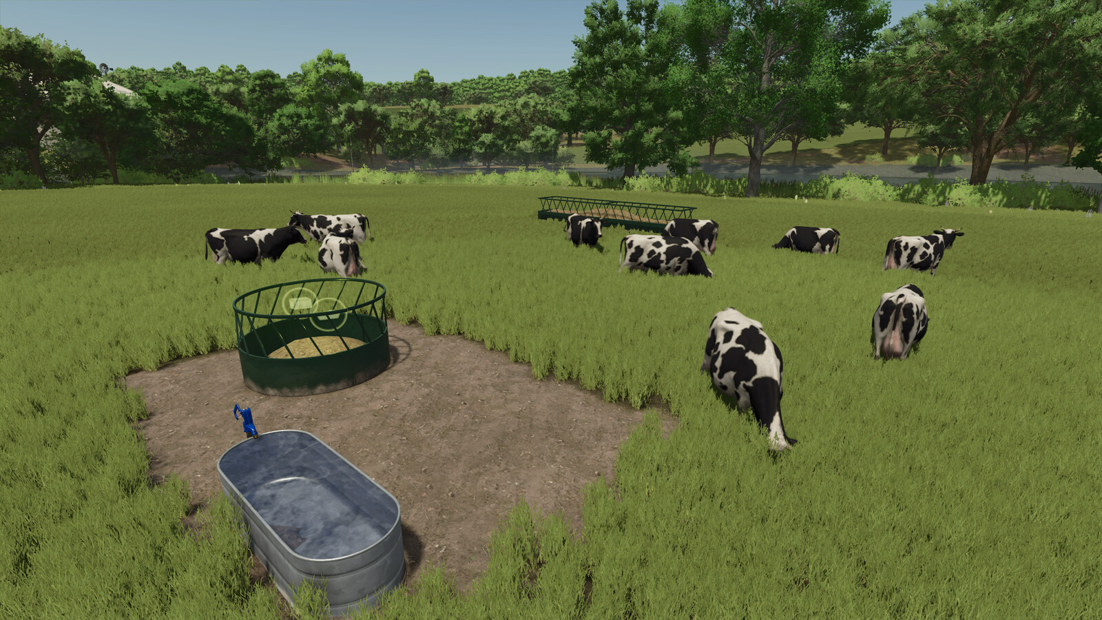 Open Pastures