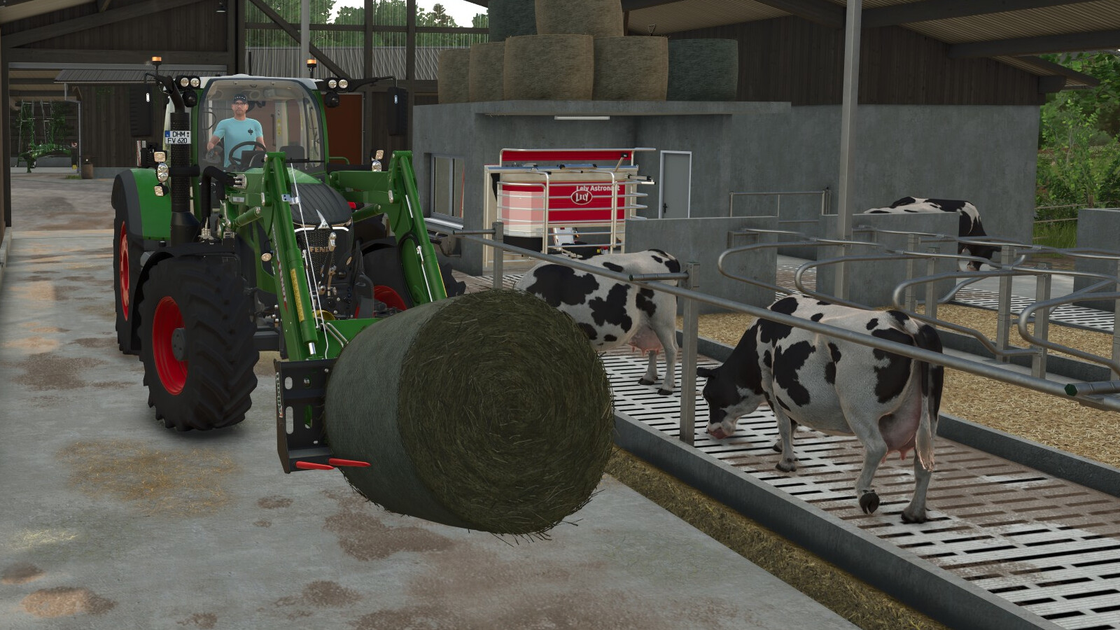 Cow Feed Order