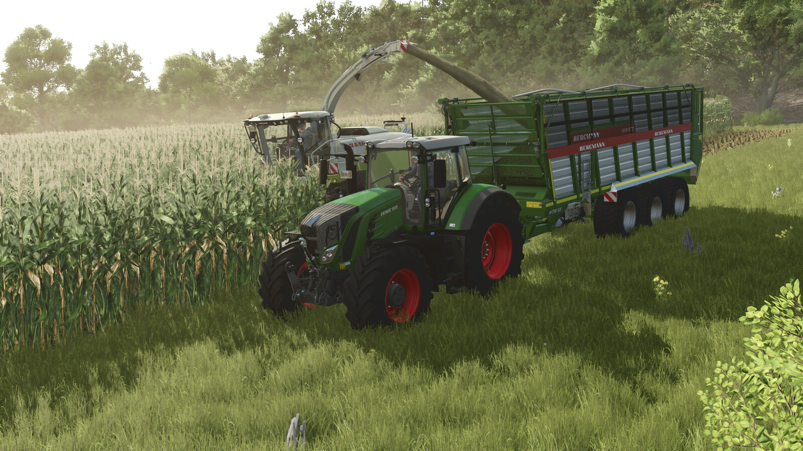 Bergmann HTW 65 S